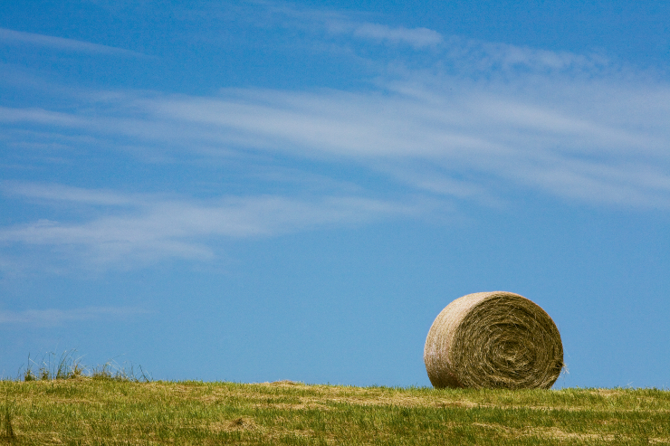 Rolls of hay sit out in a field in Normandy, TN.